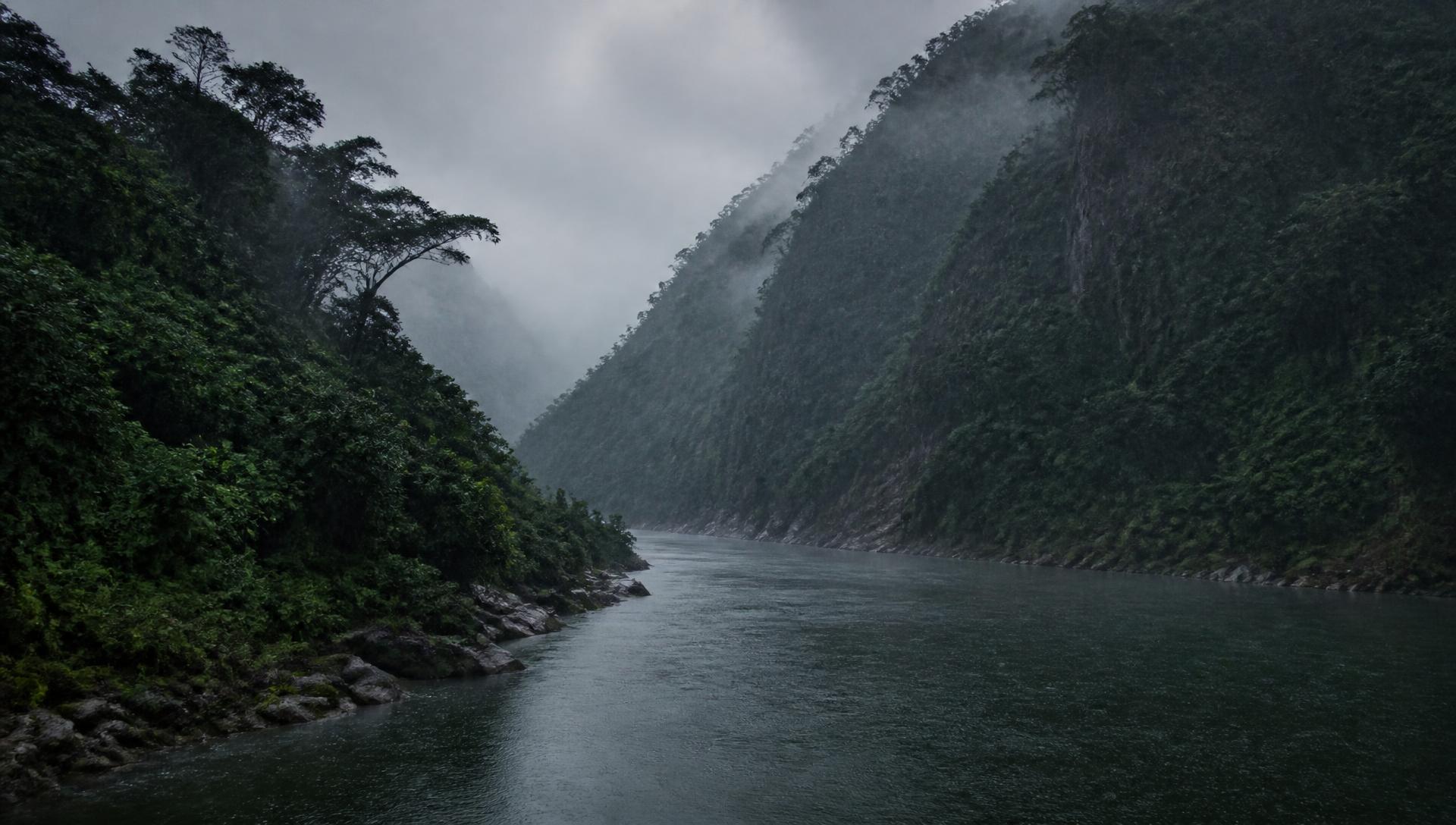 River through misty forested valley